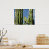 Vaatje Cactus I Woestijn Foto Poster (Keuken)