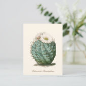 Vaatje Cactus Witte Bloem Briefkaart (Staand voorkant)