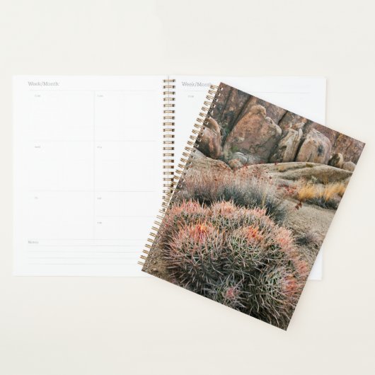 Vaatjes Cactus In Californië Planner (Display)