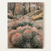 Vaatjes Cactus In Californië Planner (Achterkant)