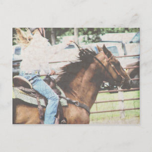 Vaatjes Raced Paard Briefkaart