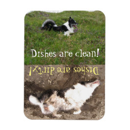 Vaatwasser herinnering, Schoon vs vuil, aanpassen Magneet