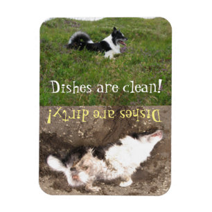 Vaatwasser herinnering, Schoon vs vuil, aanpassen Magneet