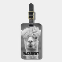 Vacation Alpaca My Bags Black