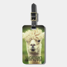 Vacation Alpaca My Bags Green