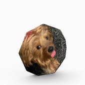 Vacature voor de Baby van het huwelijk van het gez Fotoblokken (Links)