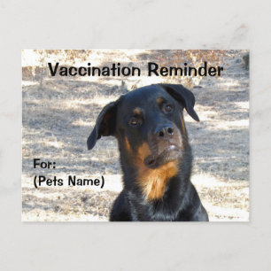 Vaccinatie-herinnering Rottweiler-Briefkaart Briefkaart