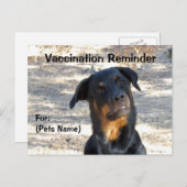 Vaccinatie-herinnering Rottweiler-Briefkaart Briefkaart (Voorkant / Achterkant)