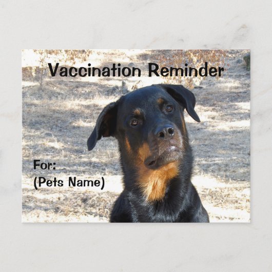 Vaccinatie-herinnering Rottweiler-Briefkaart Briefkaart (Voorkant)
