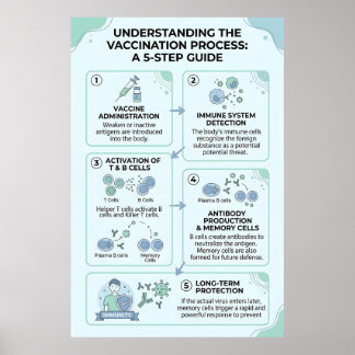 Vaccinatieproces uitgelegd: een 5-staps immuniteit poster