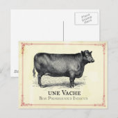 Vache Cow Briefkaart (Voorkant / Achterkant)