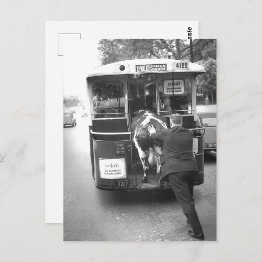 Vache dans le tramway briefkaart (Voorkant / Achterkant)
