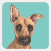 Vaden Jones Stickers (Voorkant)