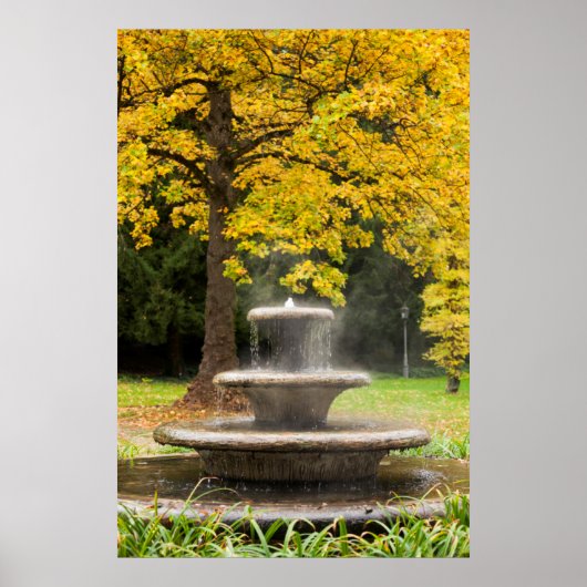 Vader door een boom in herfst, Duitsland Poster (Voorkant)