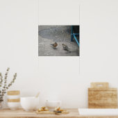 Vader en chcik Chaffinch afdrukken Poster (Keuken)