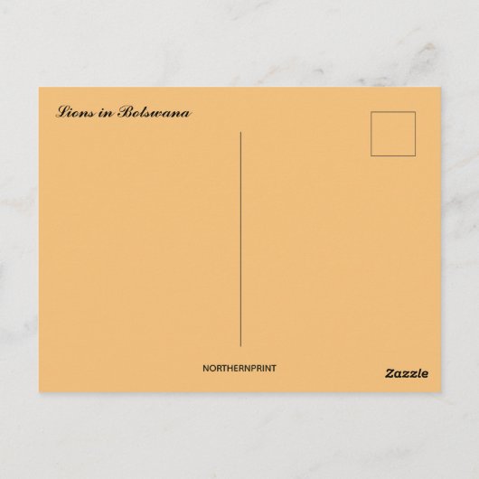 Vader- en Son Lions in het Briefkaart van Botswana (Achterkant)