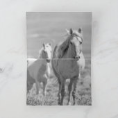 Vader en Wenskaart van wilde paarden Kaart (Binnen)