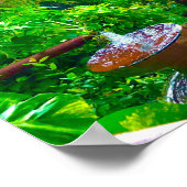 Vader in de tropen poster (Hoek)