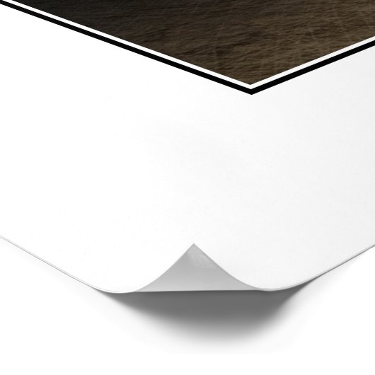 Vader Lavone Poster (Hoek)