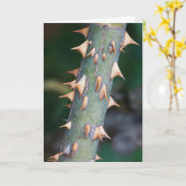 "Vaderdag" Ben je klaar? Kaart (Gele Bloem)