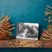 Vaderdag Beste Kat Papa Foto Plaque Fotoplaat (Zijkant)