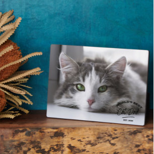 Vaderdag Beste Kat Papa Foto Plaque Fotoplaat