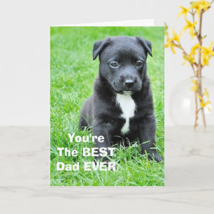 Vaderdag Beste Papa Van Hond Kaart