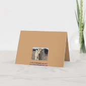 Vaderdag Cattle - Ranch of Boerderij Kaart (Achterkant)