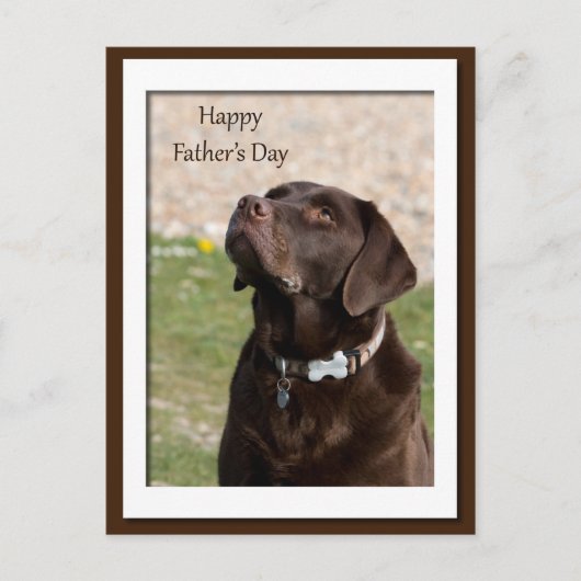 Vaderdag Chocolate Brown Labrador Dog Briefkaart (Voorkant)
