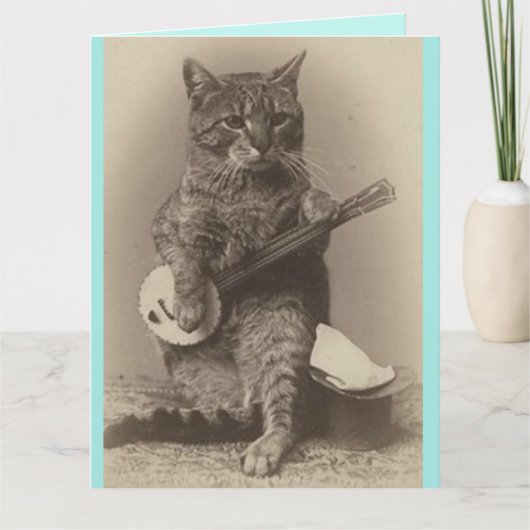 VADERDAG FUNNY CAT PLAYING BANJO KAART (Voorkant)