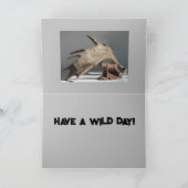 Vaderdag Grappige Moose Antler plezier Anony-moose Bedankkaart (Binnen)