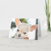 Vaderdag in de Spaanse Kaart (Achterkant)