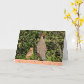 Vaderdag Kwartel - Kimberly P-Chadwick Kaart (Gele Bloem)