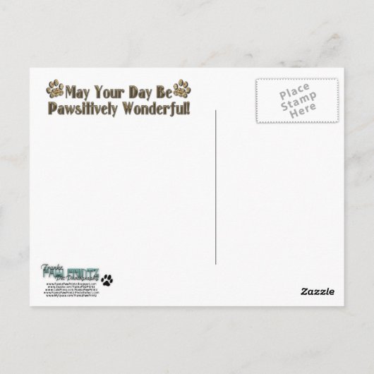 Vaderdag - Steenpoten - Duitse Herder - Kuno Briefkaart (Achterkant)