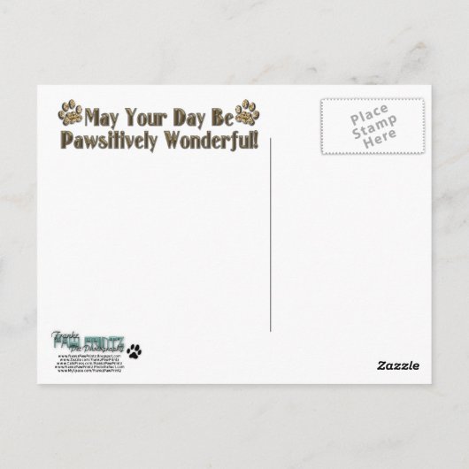 Vaderdag - Stenen poten - Dachshund - Winston Briefkaart (Achterkant)