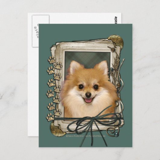 Vaderdag - Stone Paws - Pommerse Briefkaart (Voorkant / Achterkant)