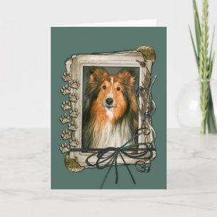 Vaderdag - Stone Paws - Sheltie Kaart