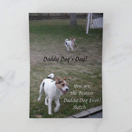 Vaderdag uit de Kaarten van de hond Janz (Binnen)