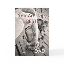 "Vaderdag van de huisdieren" Samson de kat Foto