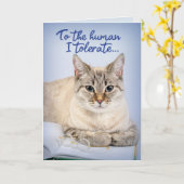 Vaderdag van de kat tot de mens verdraagzaam kaart (Gele Bloem)