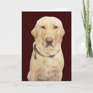 Vaderdag voor vader/broer/stepf Kaart