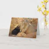 Vaderdag-vriend Kaart (Gele Bloem)