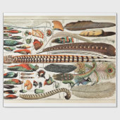  vaders Oude Illustratie Kunst Cadeaupapier (Vlak)