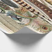  vaders Oude Illustratie Kunst Cadeaupapier (Hoek)