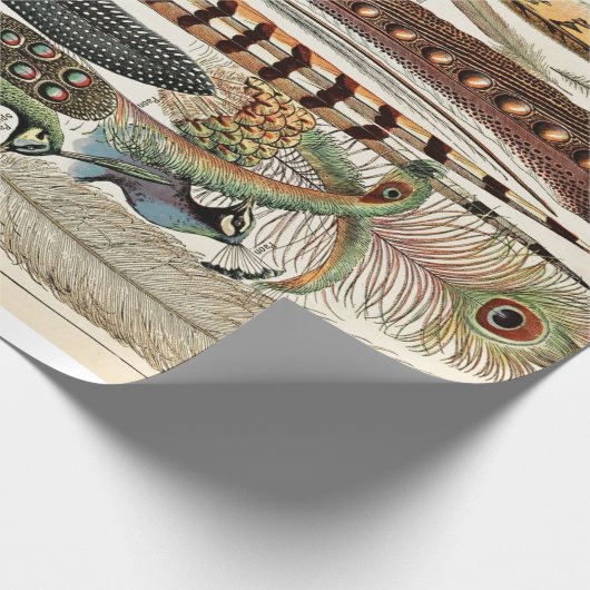 vaders Oude Illustratie Kunst Cadeaupapier (Hoek)