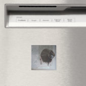 vado op cerca dei tuoi occhi magneet (Insitu (Vaatwasser))