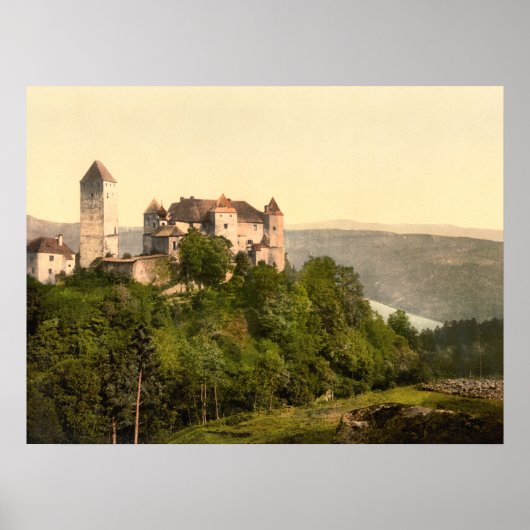 Vaduz Castle, Liechtenstein Poster (Voorkant)