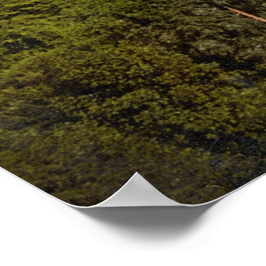 Vaduz Castle, Liechtenstein Poster (Hoek)