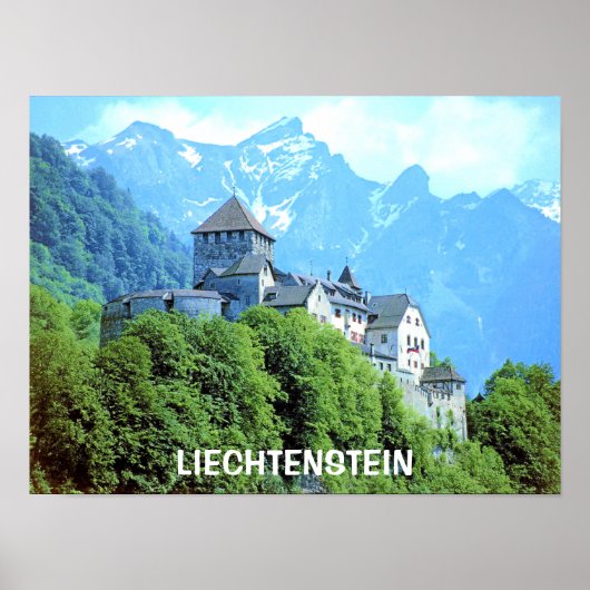 VADUZ CASTLE, LIECHTENSTEIN POSTER (Voorkant)