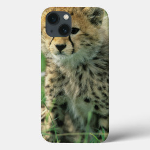 Vage jachtluipaardwelp Case-Mate iPhone case